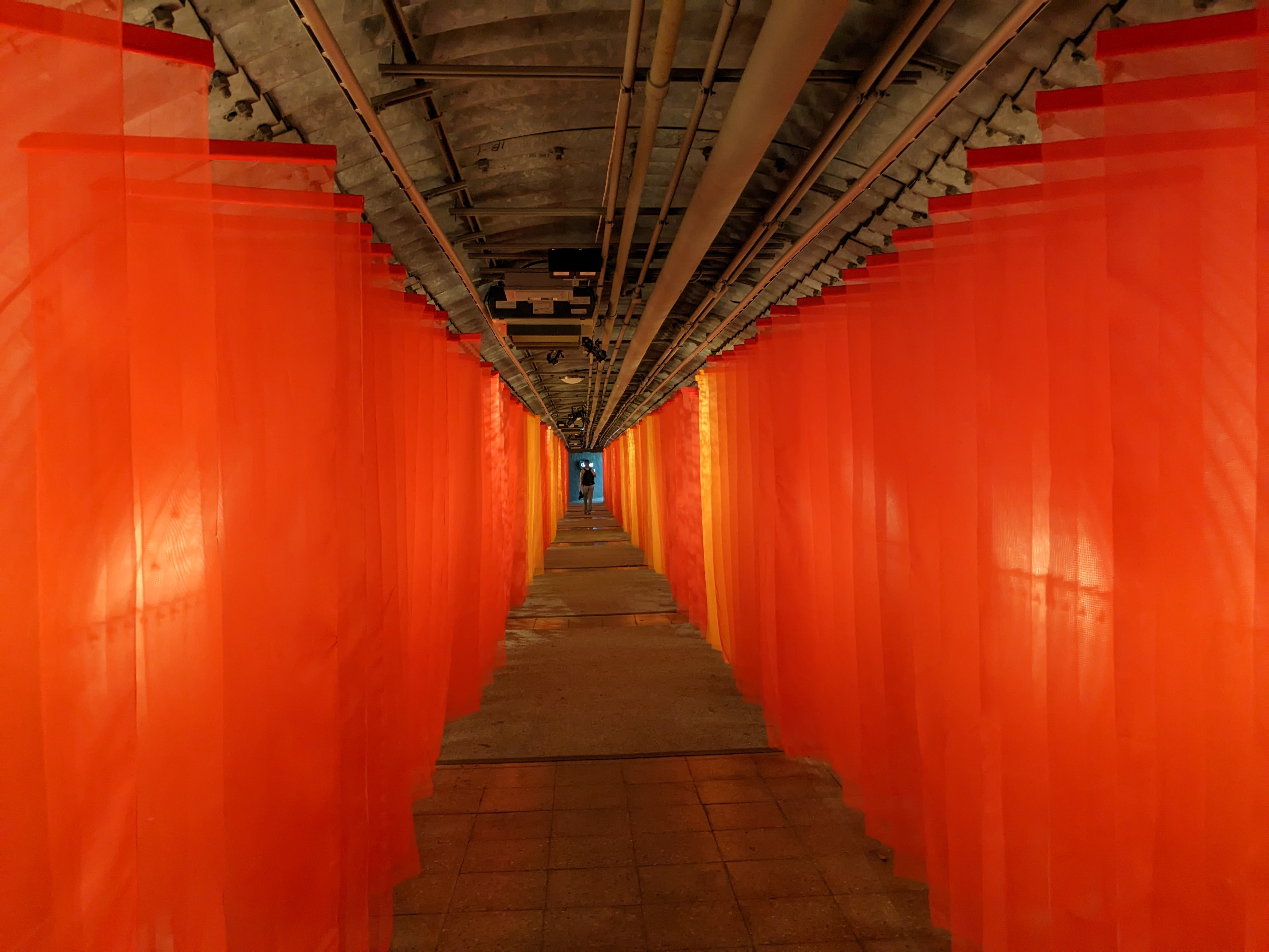 Traditional Chinese Medicine